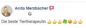 Feeback Anita Merzbacher bearbeiet