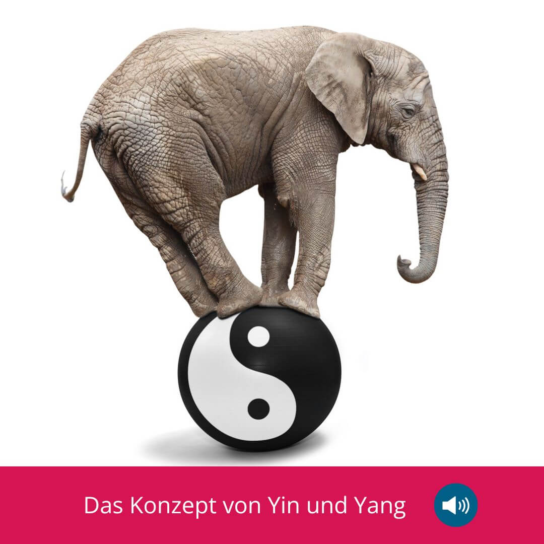 Natalie Klug Das Konzept von Yin und Yang podcast tiertcmsmartandeasy